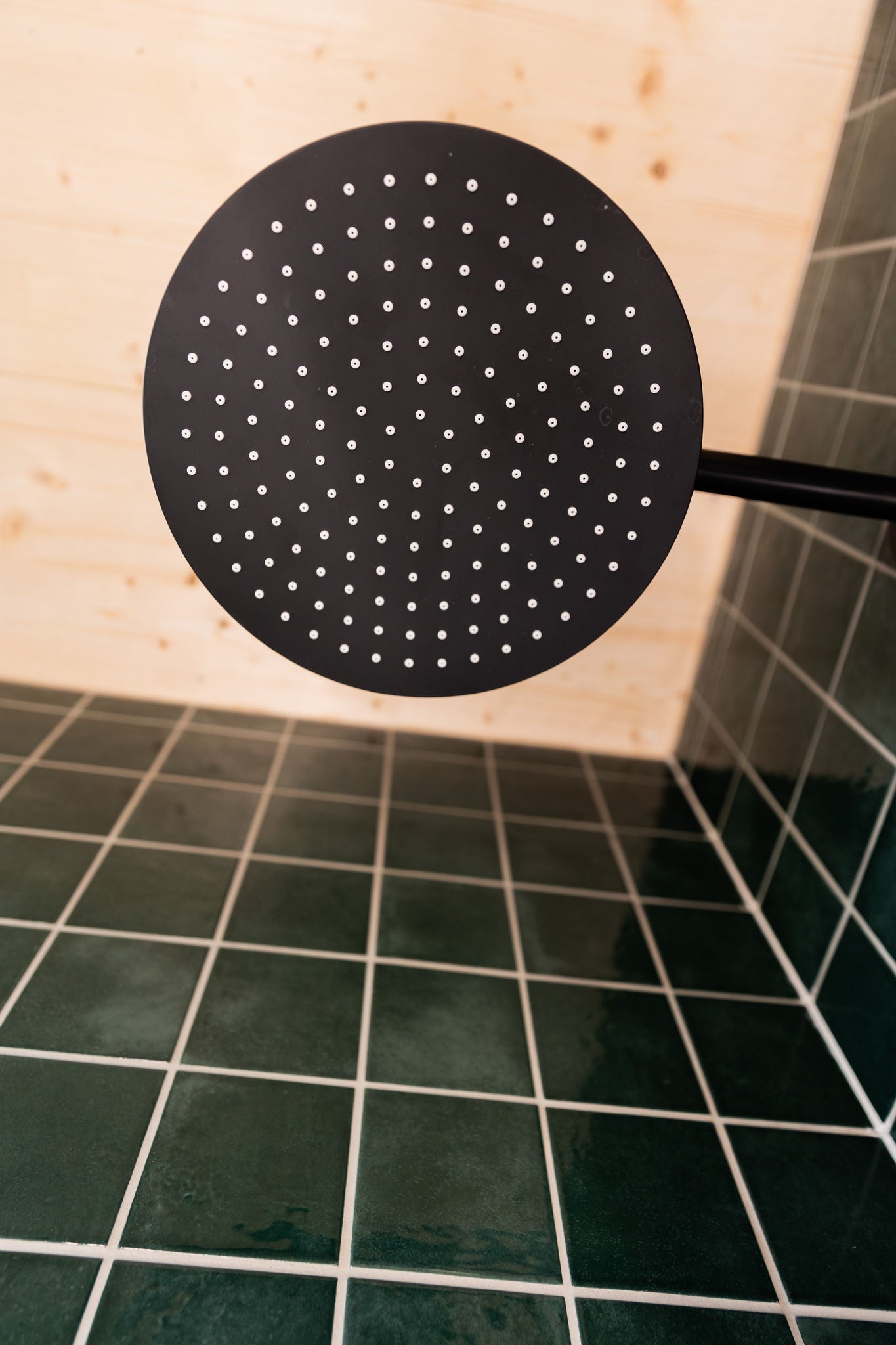 KEUCO BLACK SELECTION Kopfbrause in der Dusche im MIMA Minimalhaus